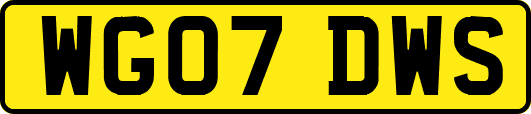 WG07DWS