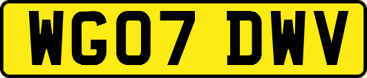 WG07DWV