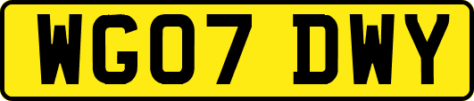 WG07DWY