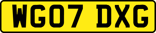 WG07DXG
