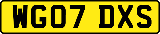 WG07DXS
