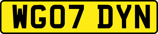 WG07DYN