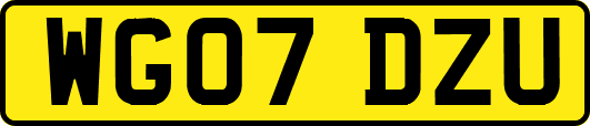 WG07DZU