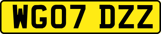 WG07DZZ