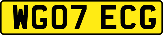 WG07ECG