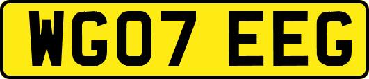 WG07EEG