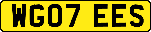 WG07EES