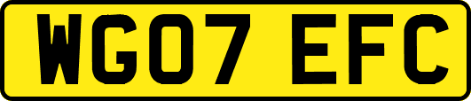 WG07EFC