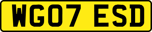 WG07ESD
