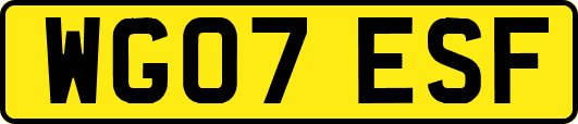 WG07ESF