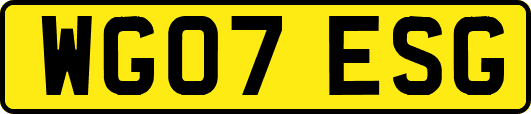 WG07ESG
