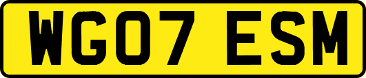 WG07ESM