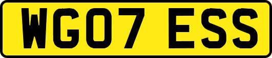 WG07ESS