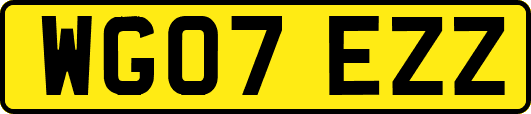 WG07EZZ