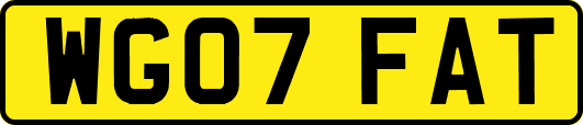 WG07FAT