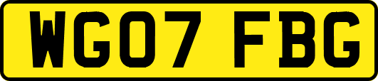 WG07FBG