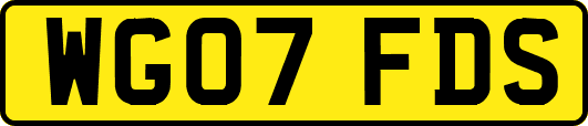 WG07FDS