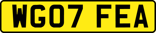WG07FEA