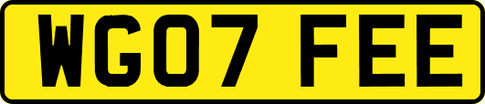WG07FEE