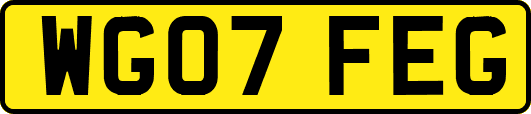 WG07FEG