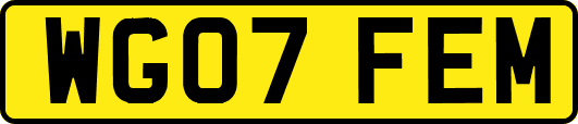 WG07FEM