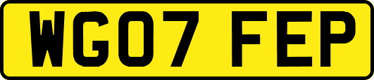 WG07FEP