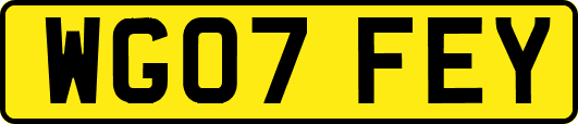 WG07FEY
