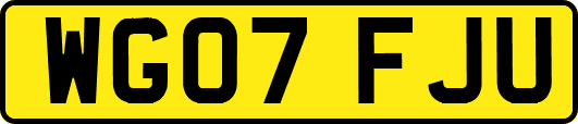 WG07FJU