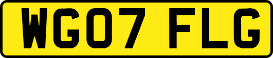 WG07FLG