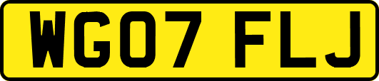 WG07FLJ