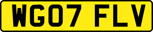 WG07FLV