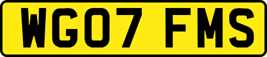 WG07FMS