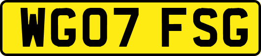 WG07FSG