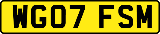 WG07FSM