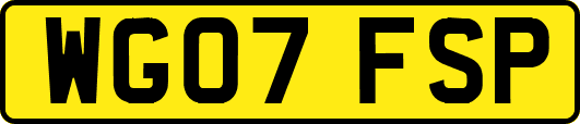 WG07FSP