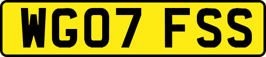 WG07FSS