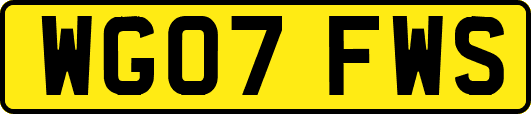 WG07FWS