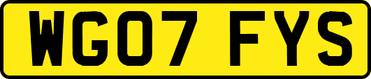 WG07FYS