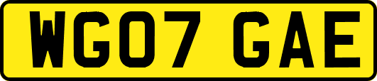 WG07GAE