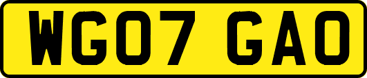 WG07GAO