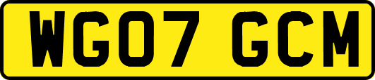 WG07GCM