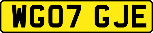 WG07GJE