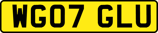 WG07GLU