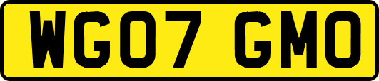 WG07GMO