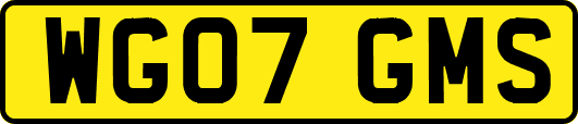 WG07GMS