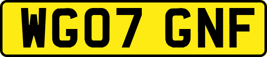 WG07GNF