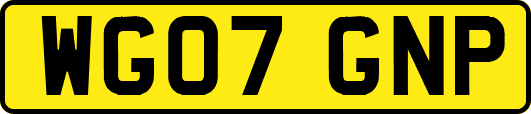 WG07GNP