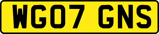 WG07GNS