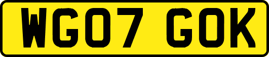 WG07GOK