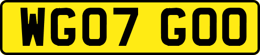 WG07GOO